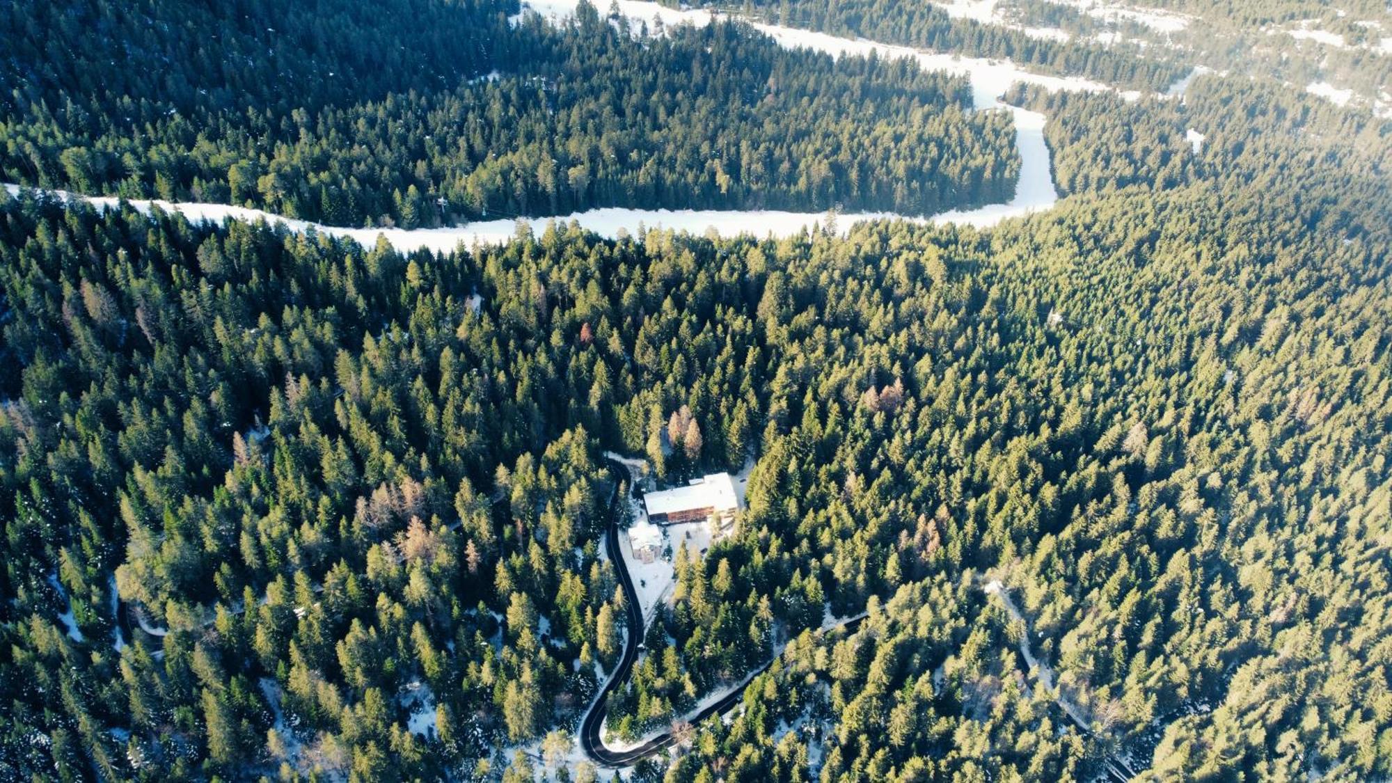 Ski Hotel Katerina Bansko Exterior foto